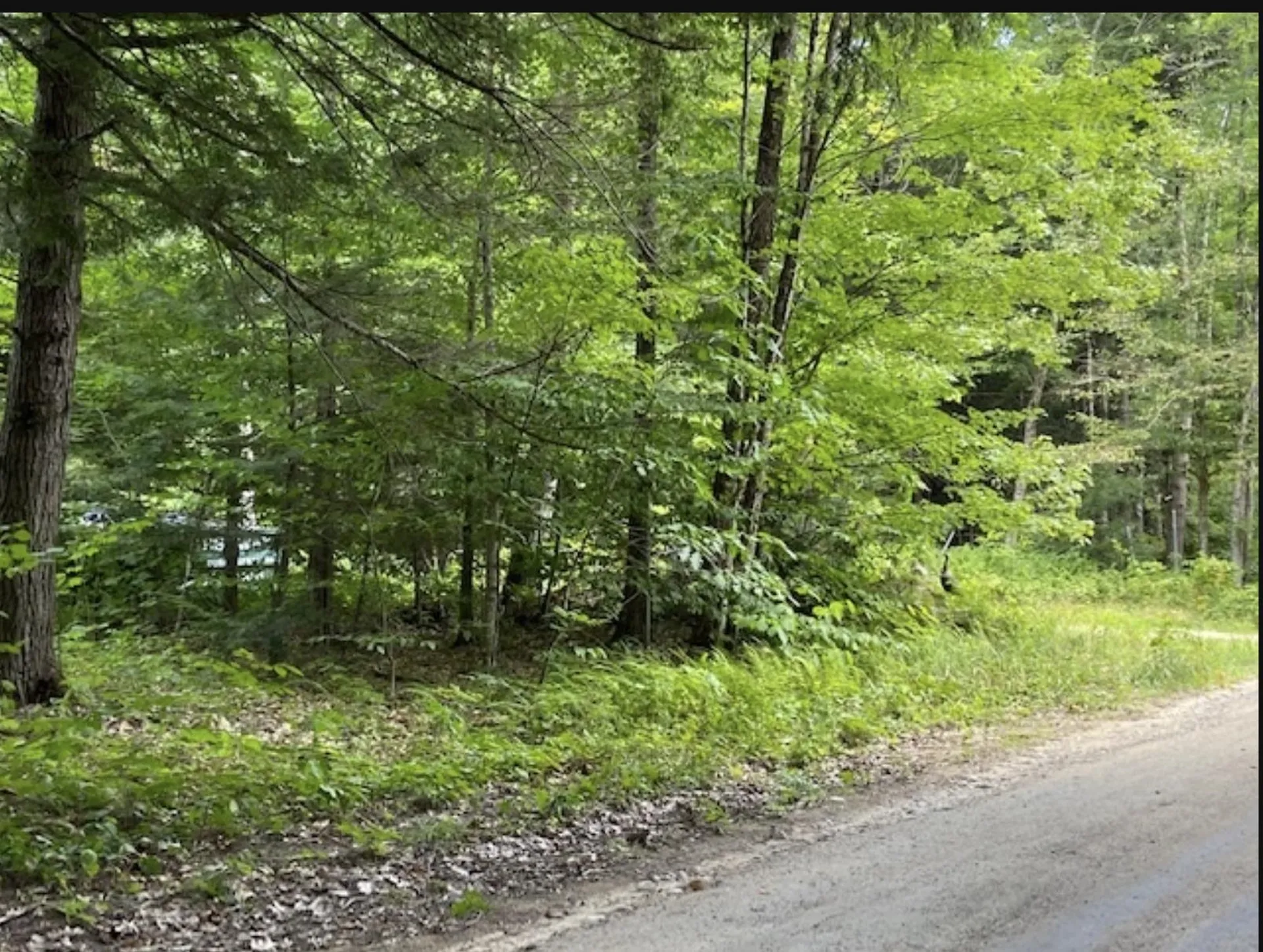 820 Old Bristol Road New Hampton NH 03256