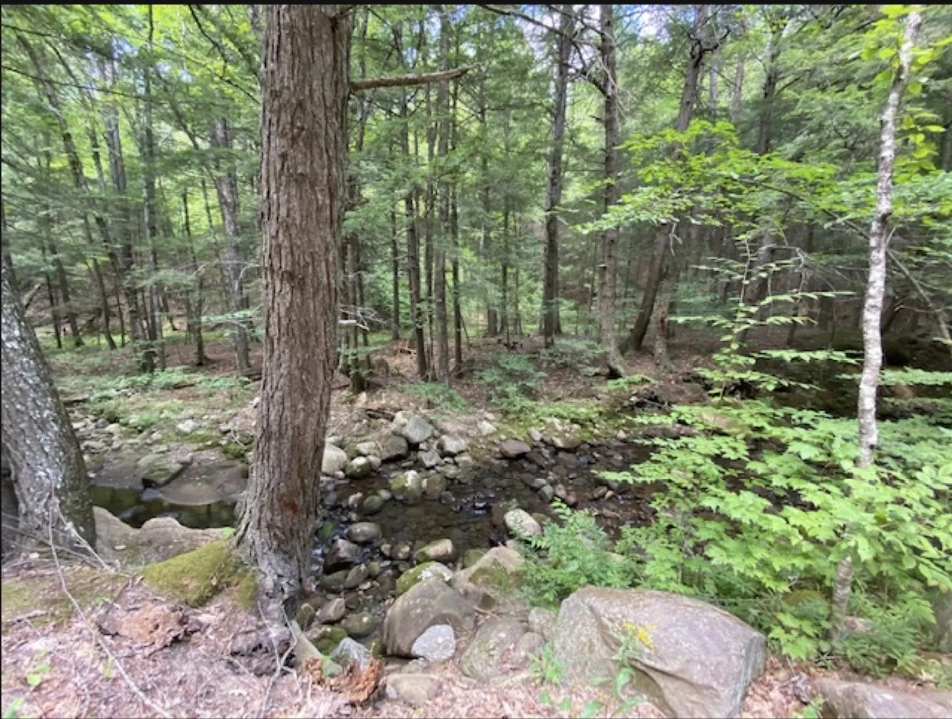 820 Old Bristol Road New Hampton NH 03256