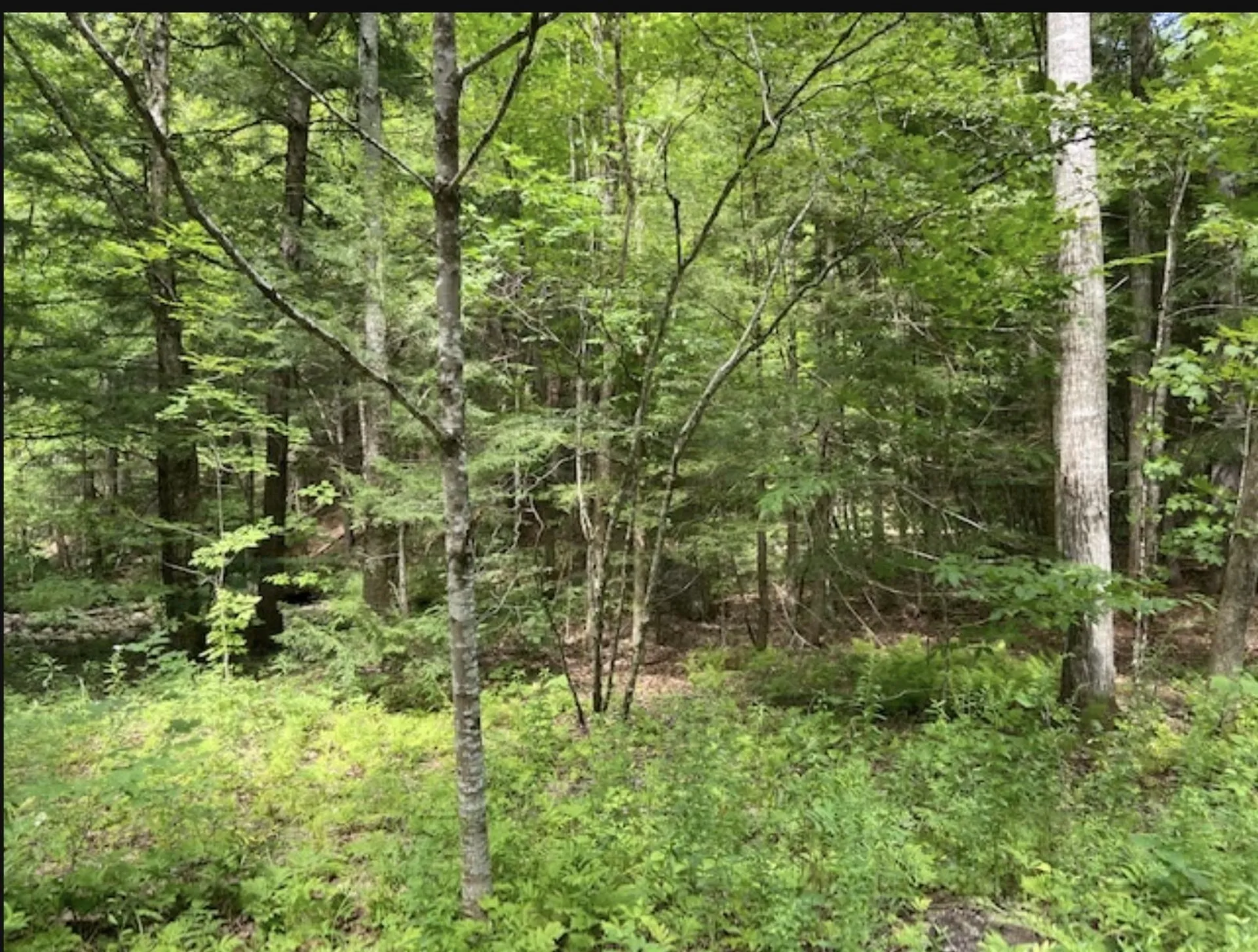 820 Old Bristol Road New Hampton NH 03256