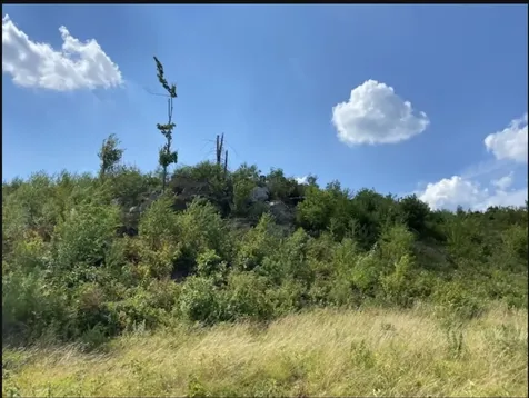 820 Old Bristol Road New Hampton NH 03256