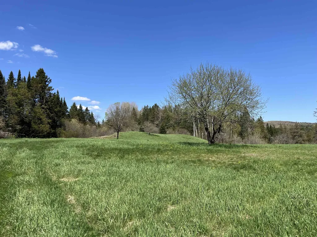 1039 Noyestar Road Walden VT 05843