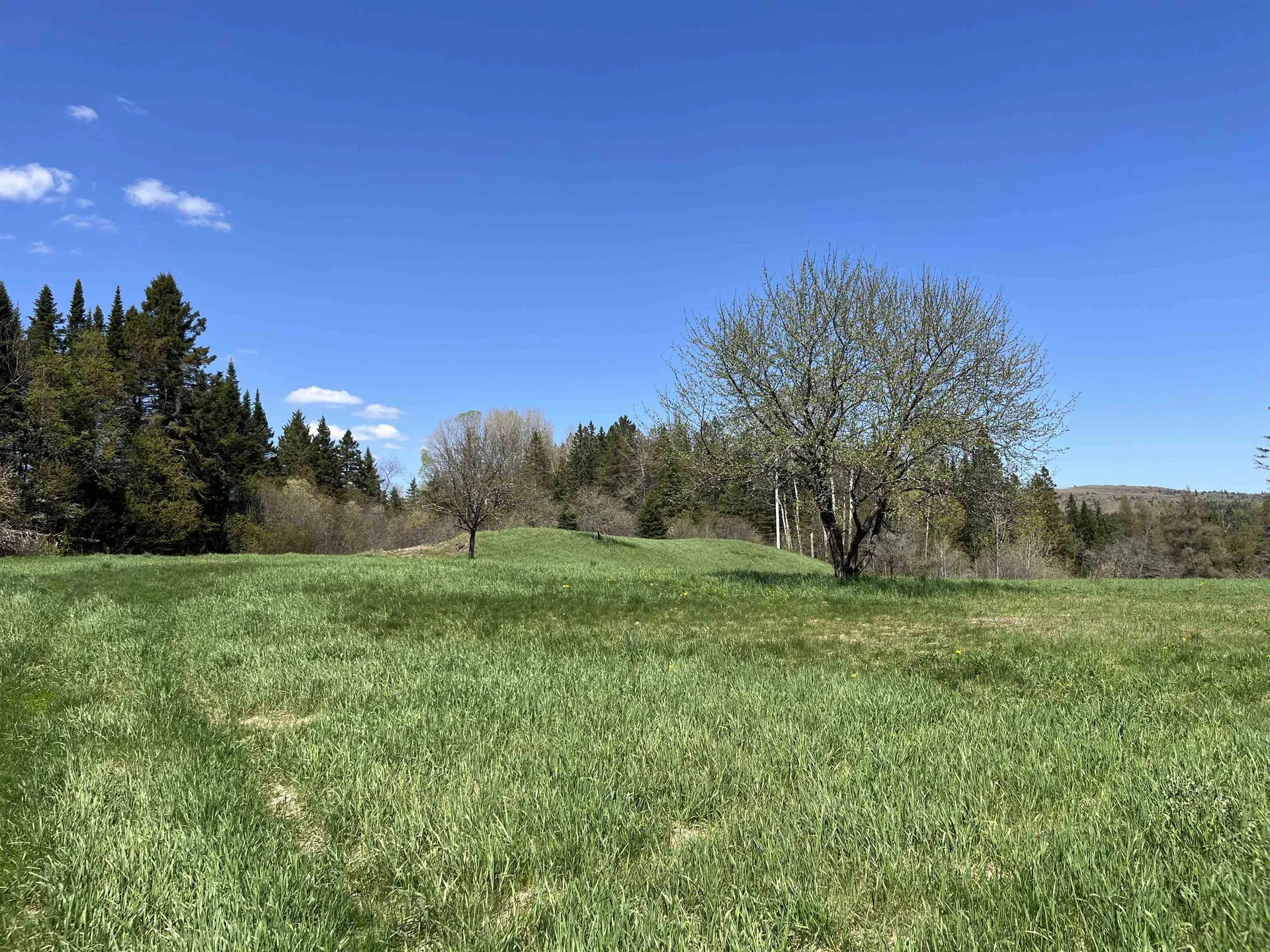 1039 Noyestar Road Walden VT 05843