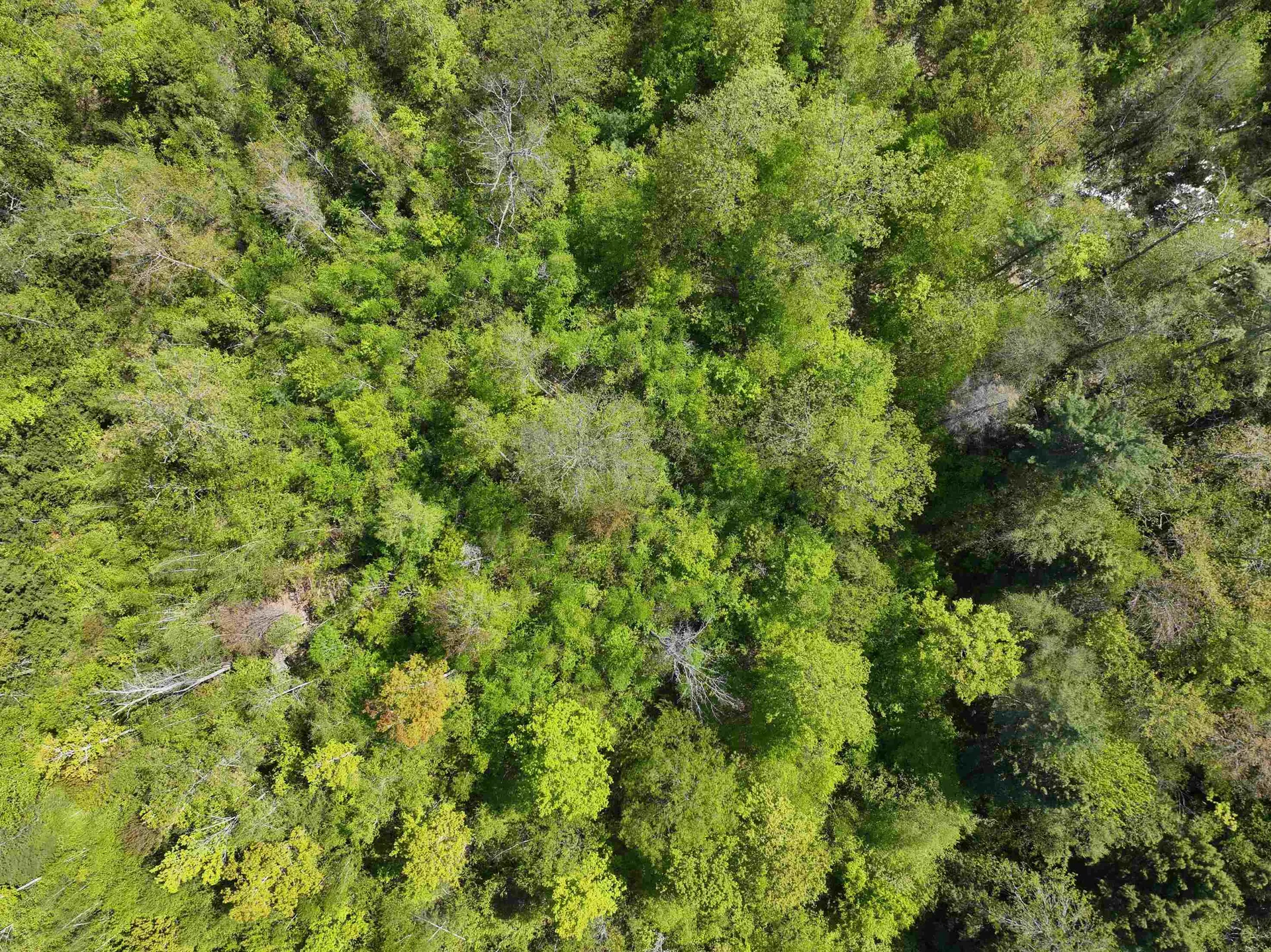 Concord Street Antrim NH 03440