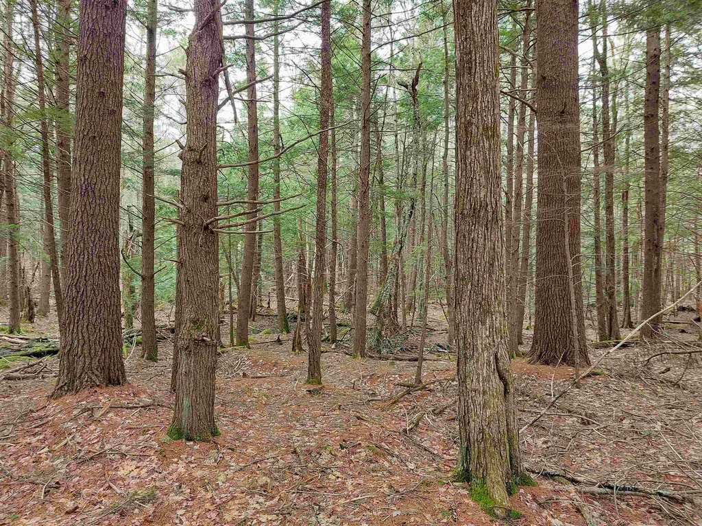 0 Murphy Road Peterborough NH 03458