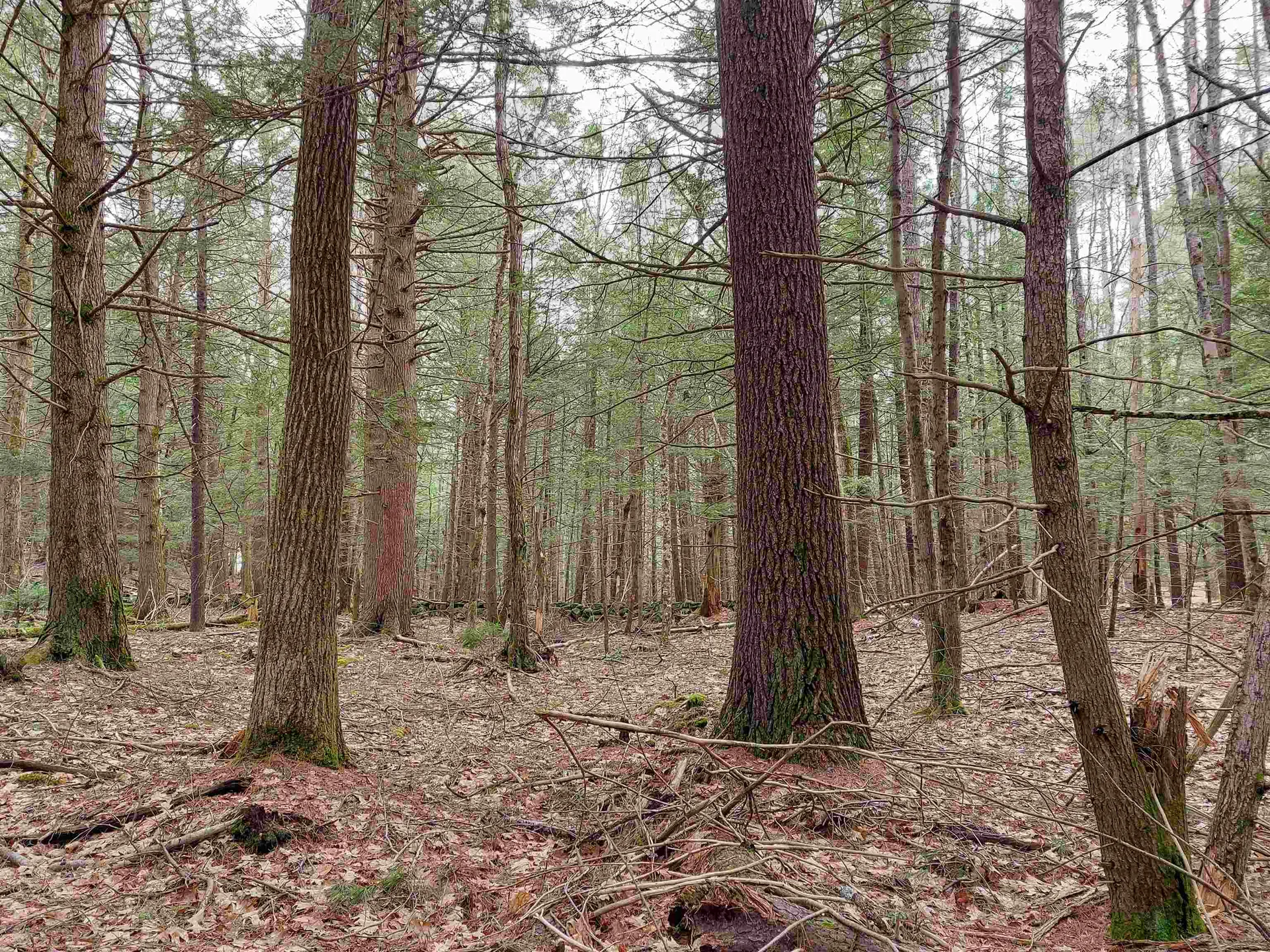 0 Murphy Road Peterborough NH 03458