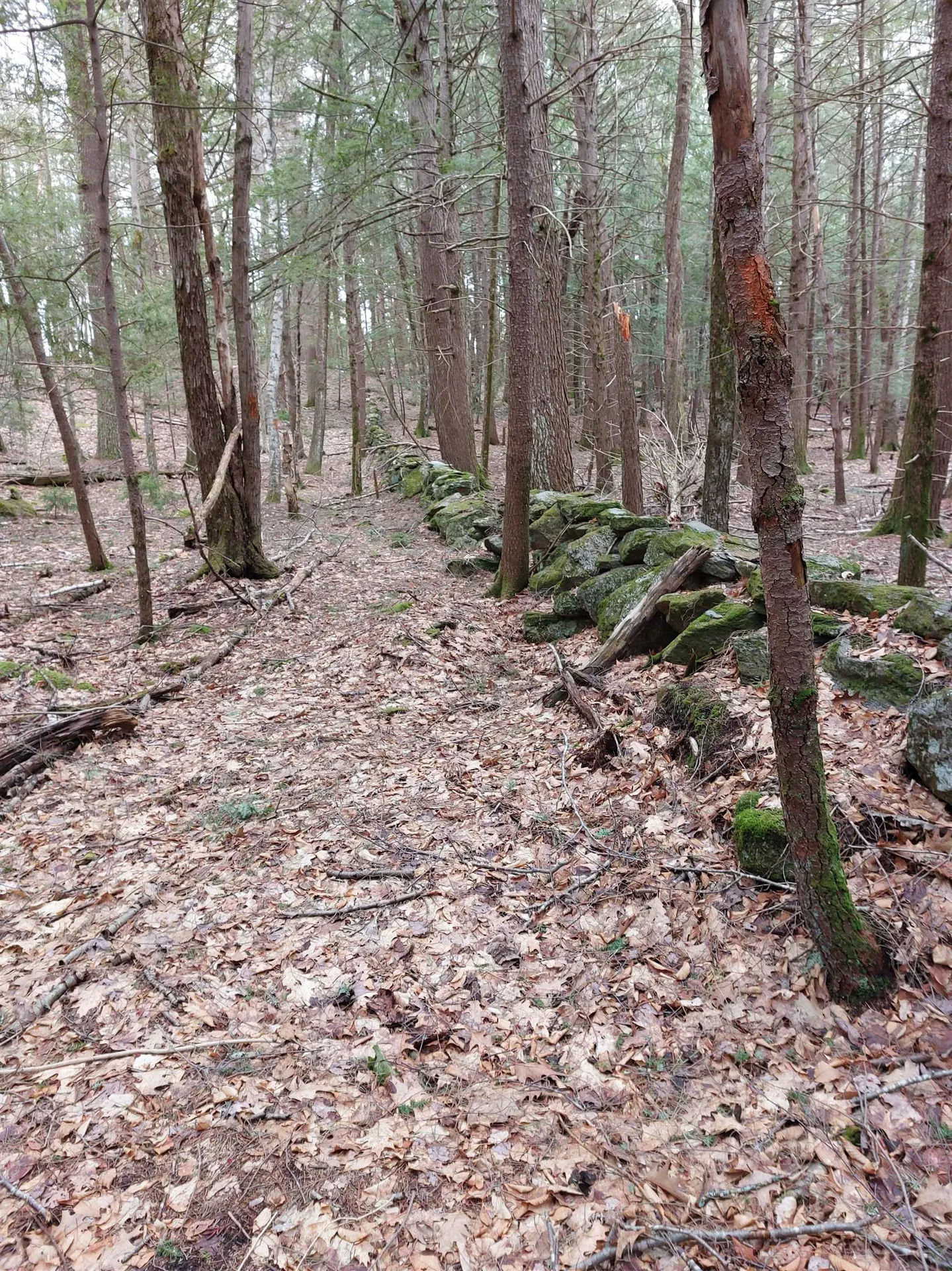 0 Murphy Road Peterborough NH 03458