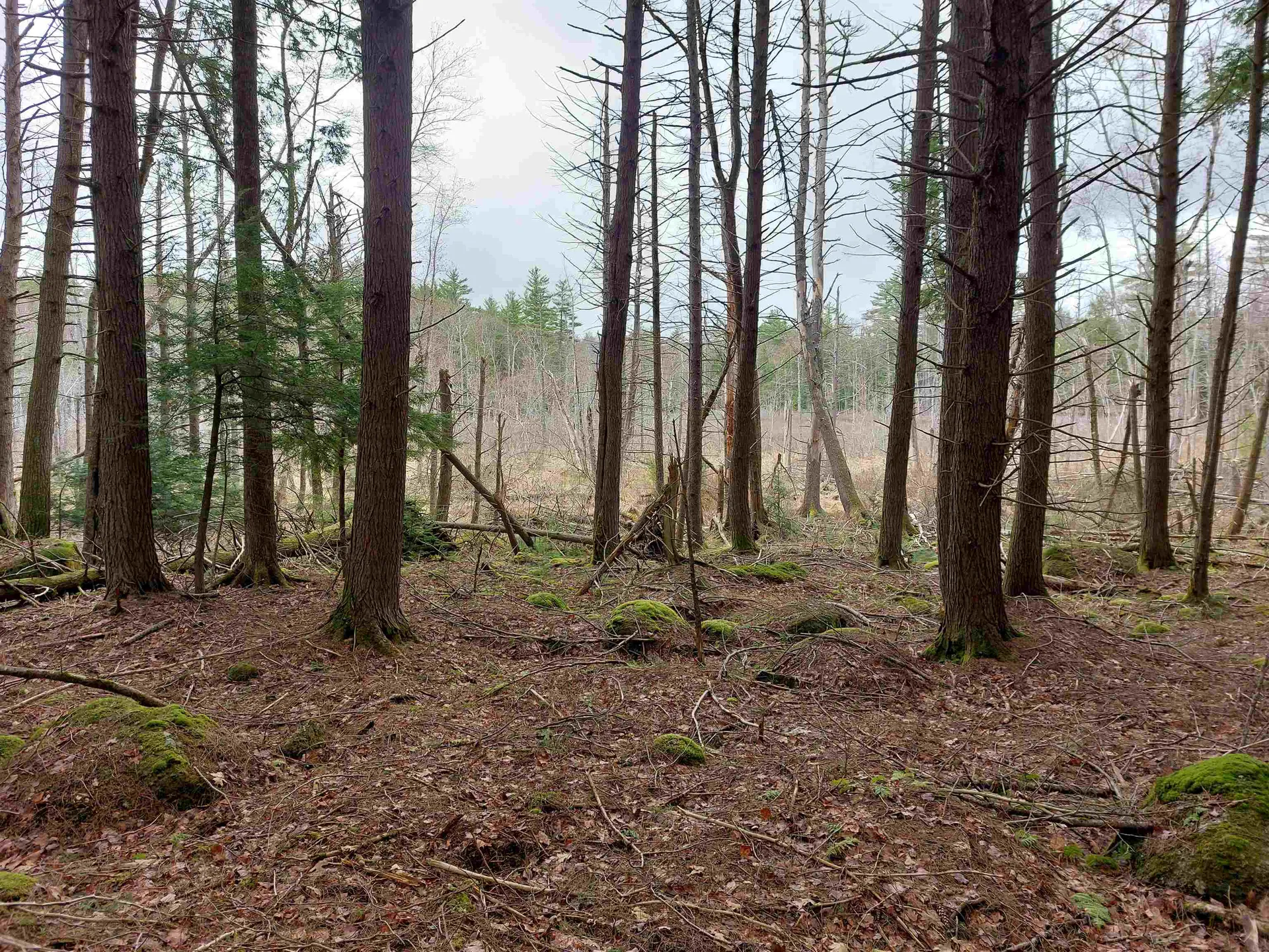 0 Murphy Road Peterborough NH 03458