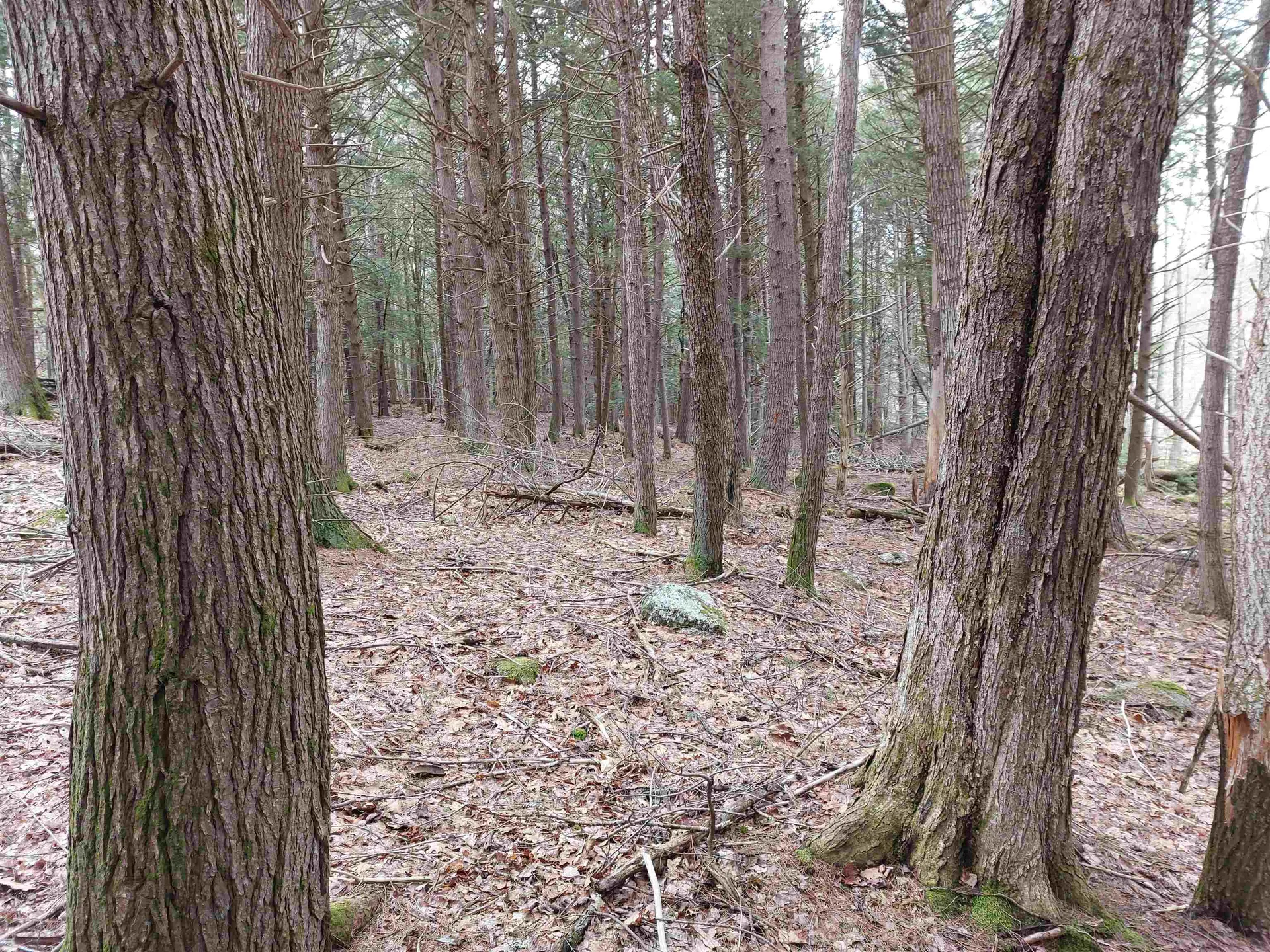 0 Murphy Road Peterborough NH 03458