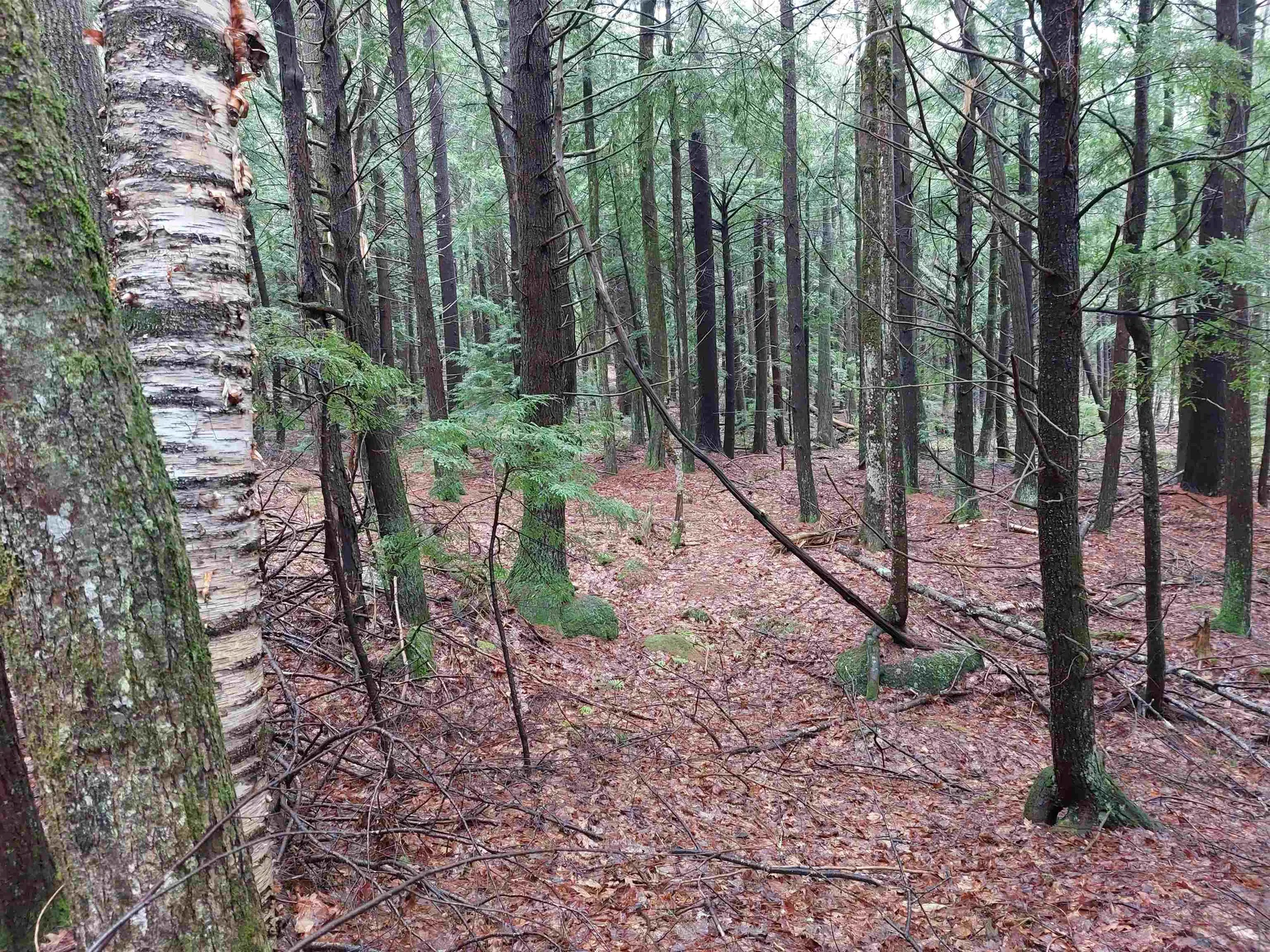 0 Murphy Road Peterborough NH 03458