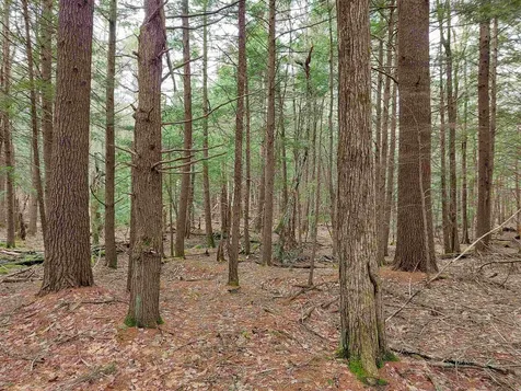 0 Murphy Road Peterborough NH 03458