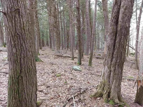 0 Murphy Road Peterborough NH 03458