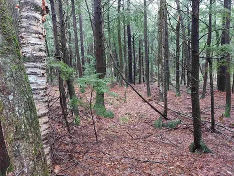 0 Murphy Road Peterborough NH 03458