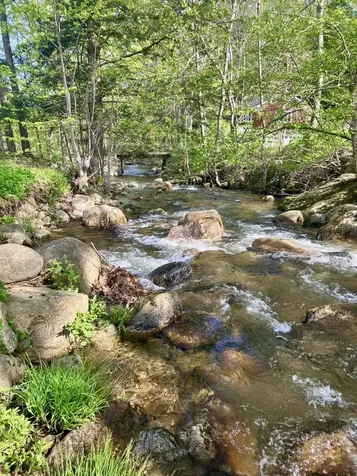 1739 Vermont Route 140 Wallingford VT 05773