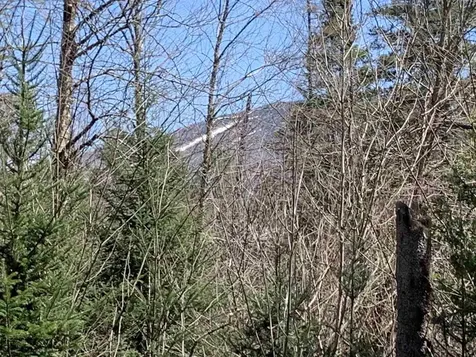 00 East Darling Hill Road Burke VT 05832