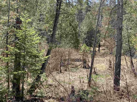 00 East Darling Hill Road Burke VT 05832