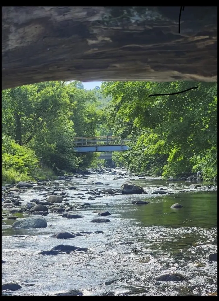 92 River Street Montgomery VT 05471