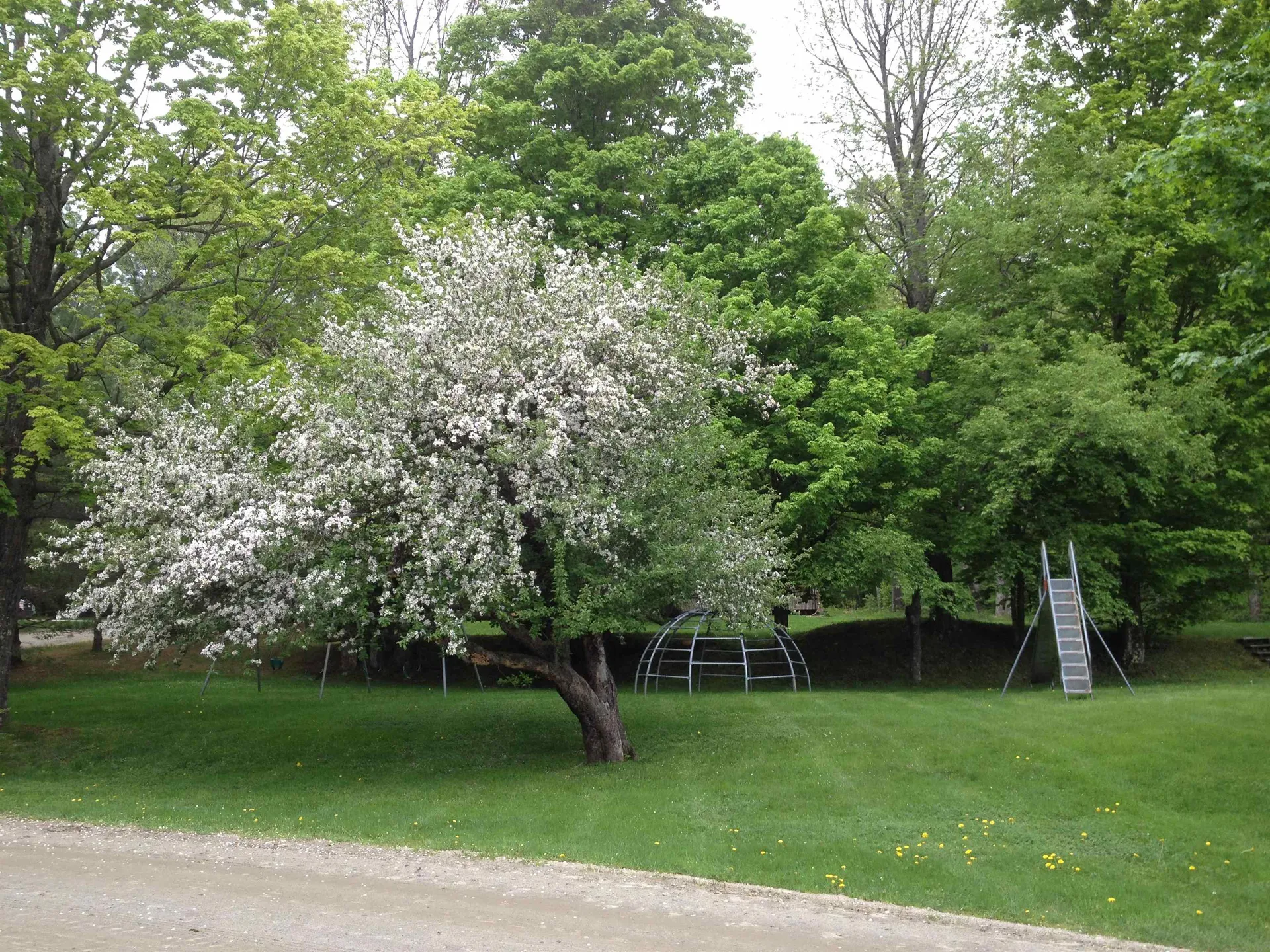 4610 Battleground Road Fayston VT 05673