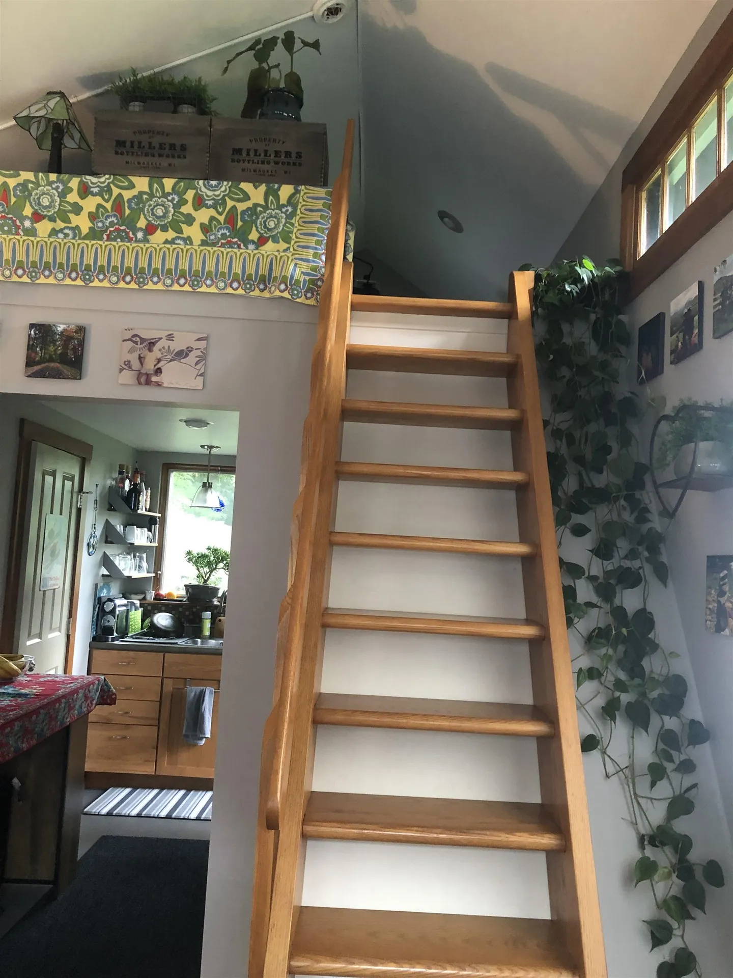 67 Proctor Avenue South Burlington VT 05403