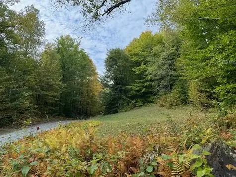 133 Ben Dexter Road Topsham VT 05076