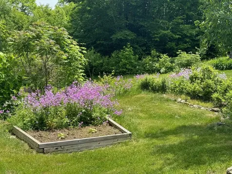 133 Ben Dexter Road Topsham VT 05076