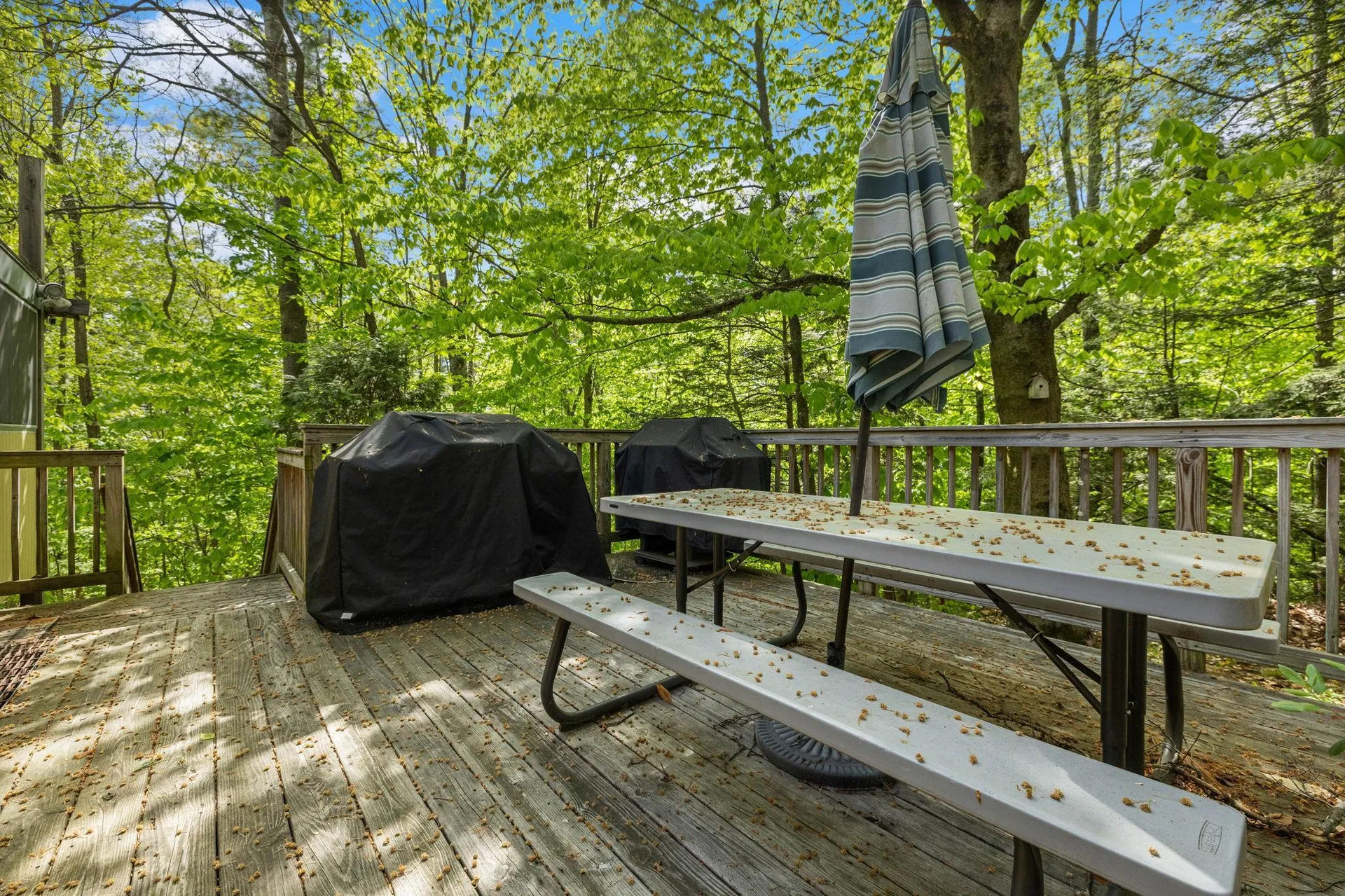 46 Crestwood Drive Conway NH 03860