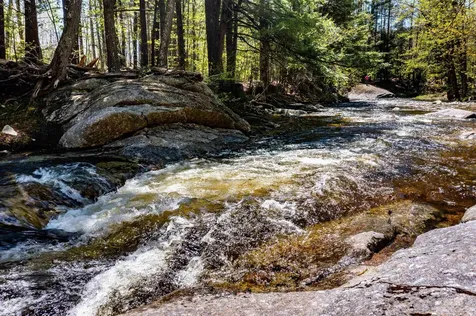 262 Welton Falls Road Alexandria NH 03222