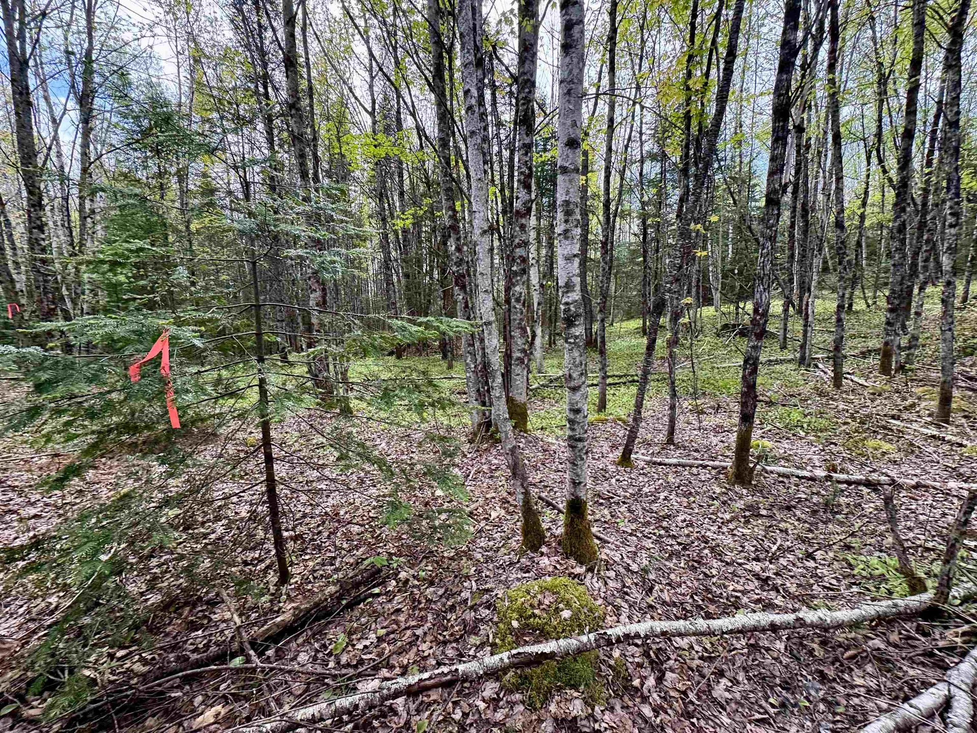 00 Oregon Road Concord VT 05824