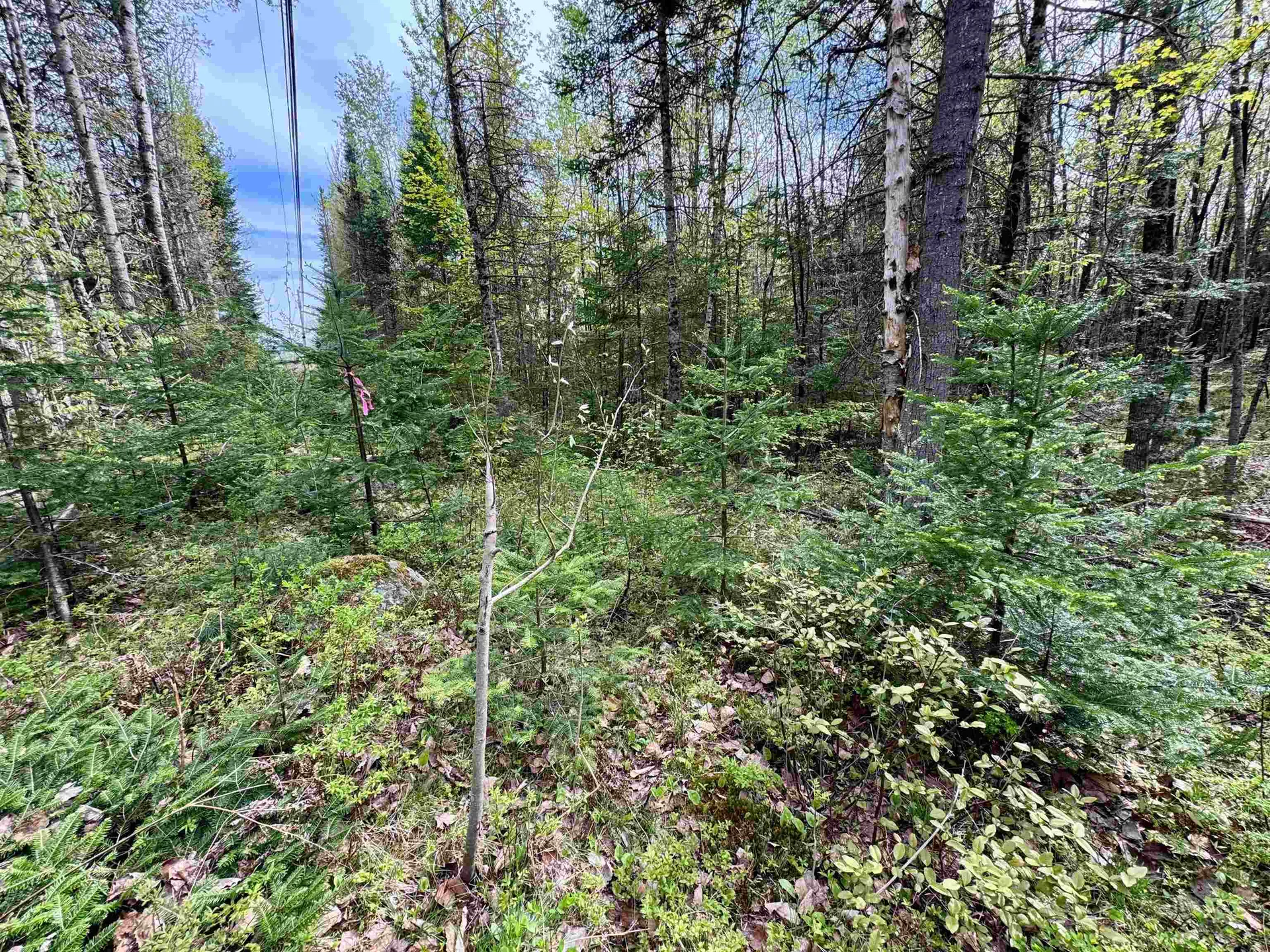 00 Oregon Road Concord VT 05824