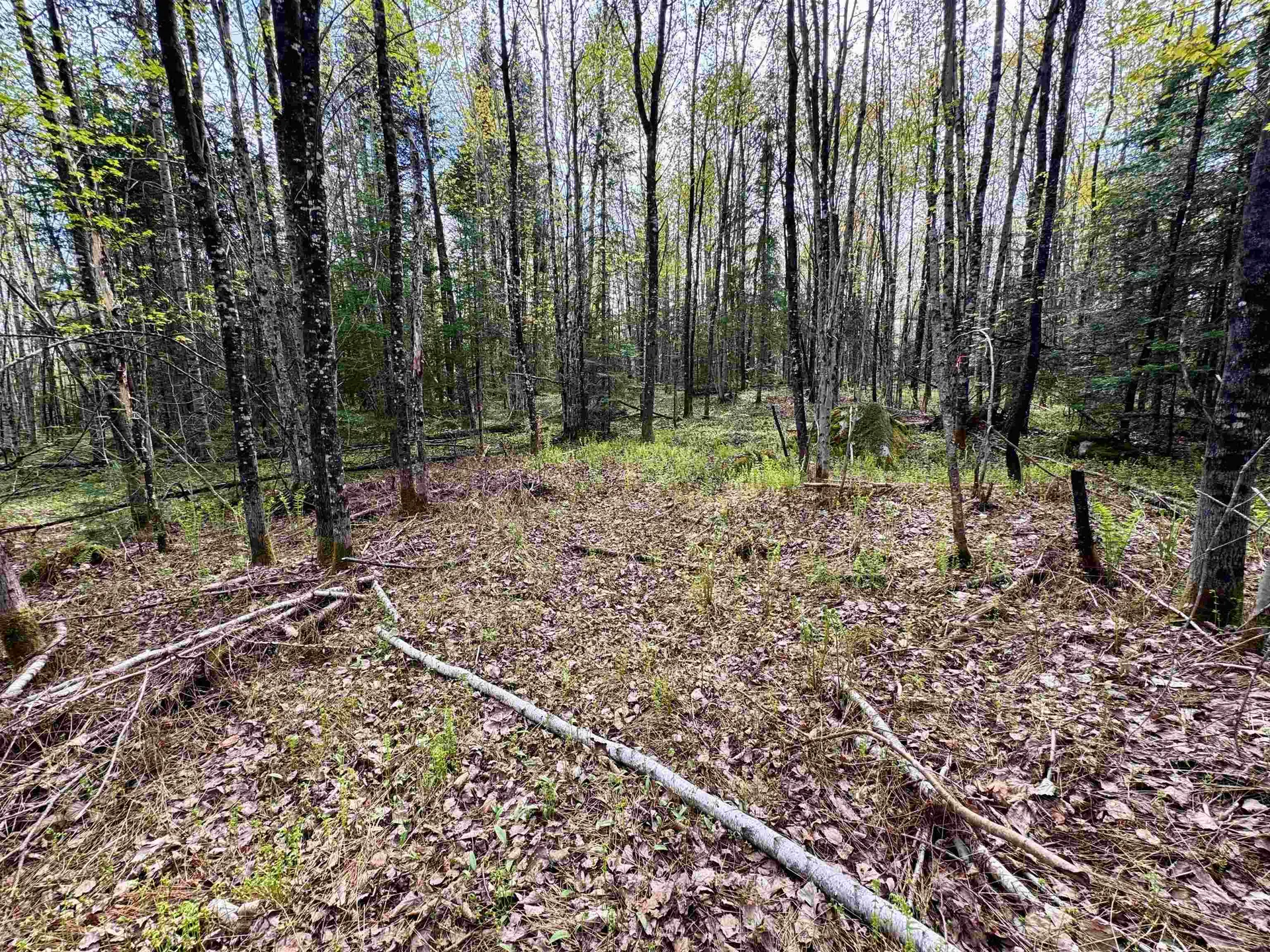 00 Oregon Road Concord VT 05824