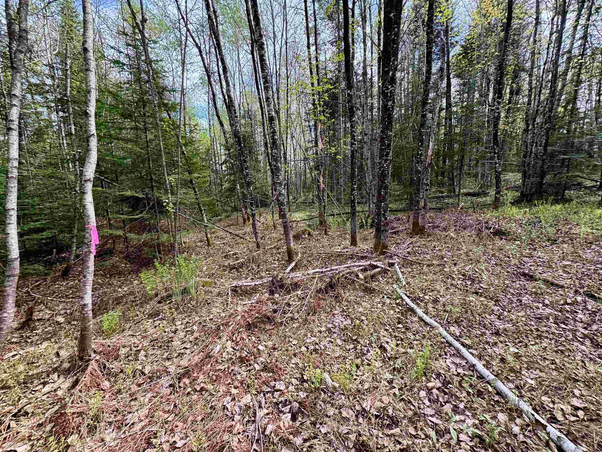 00 Oregon Road Concord VT 05824