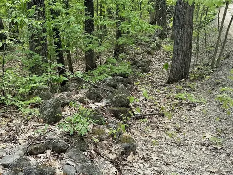 2 Youngs Road Ossipee NH 03864