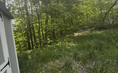 43 Gould Hill Johnson VT 05656