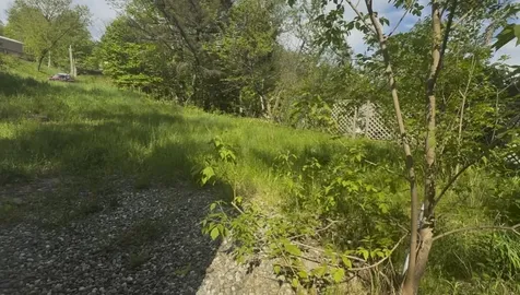 43 Gould Hill Johnson VT 05656