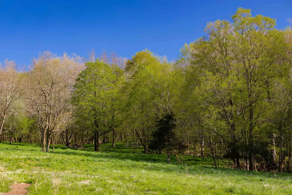 1555 Spear Street Charlotte VT 05445