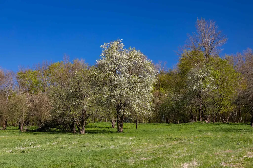 1555 Spear Street Charlotte VT 05445