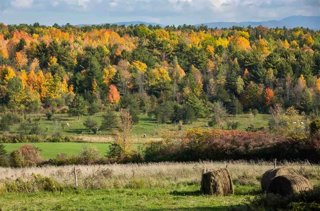 1555 Spear Street Charlotte VT 05445