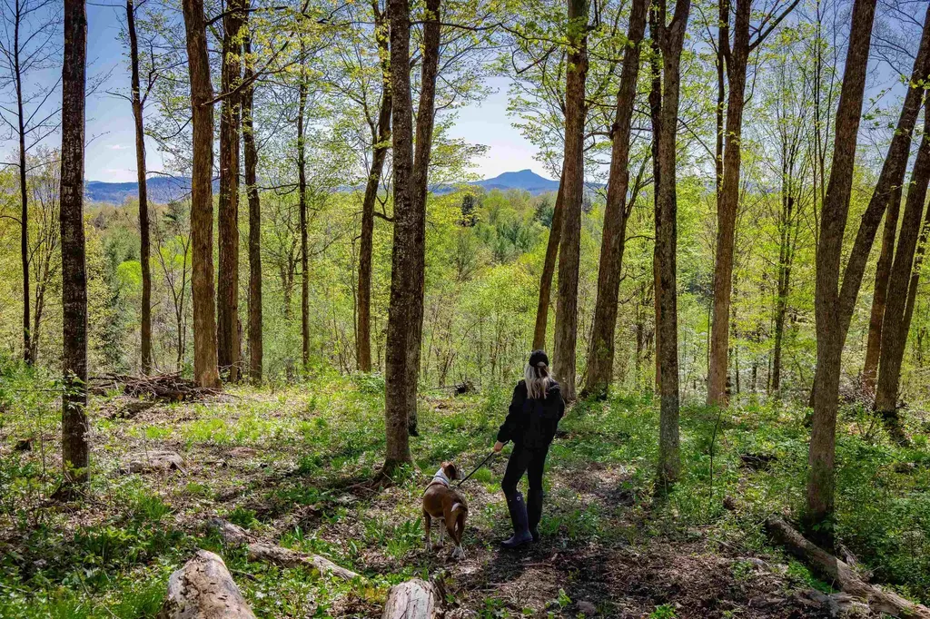 1555 Spear Street Charlotte VT 05445