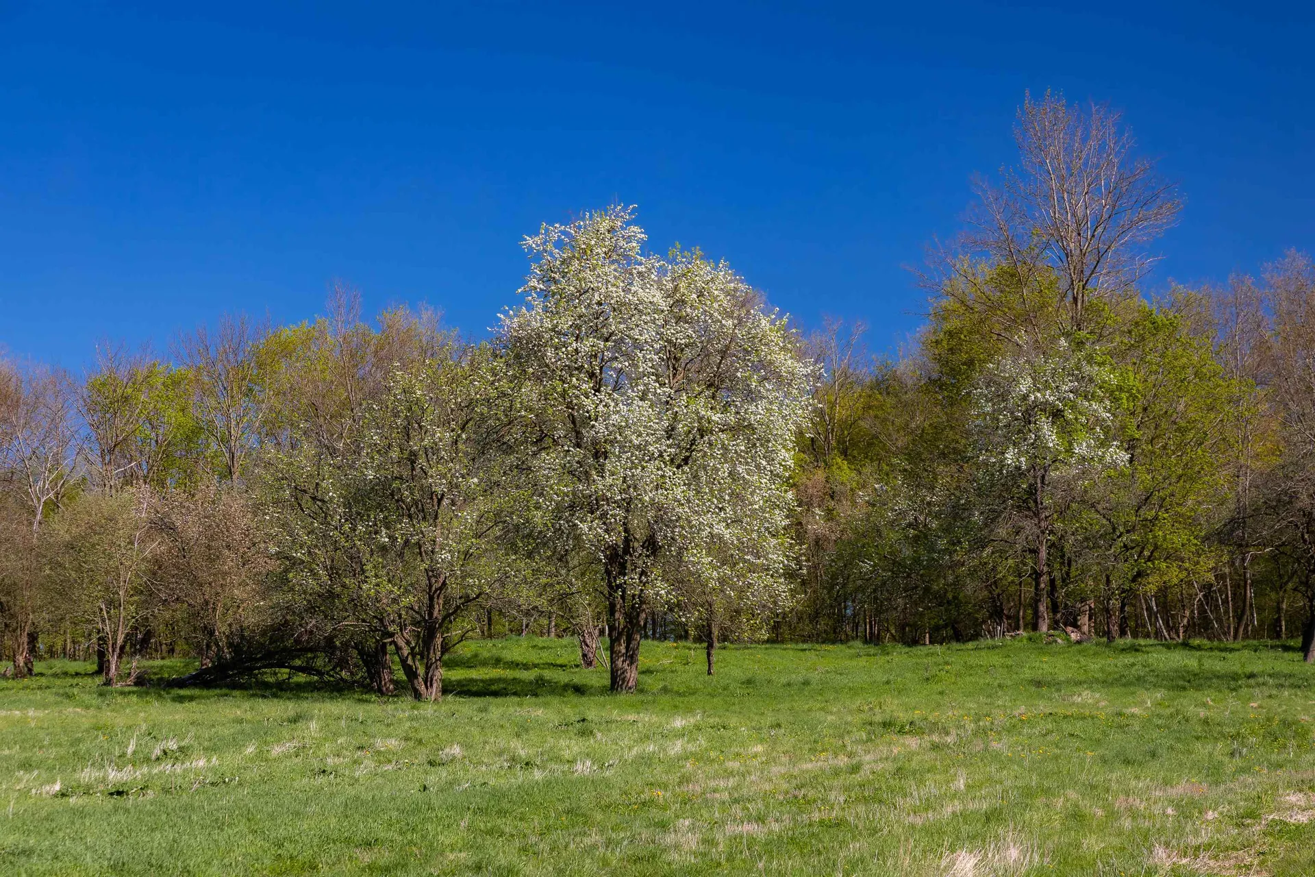 1555 Spear Street Charlotte VT 05445