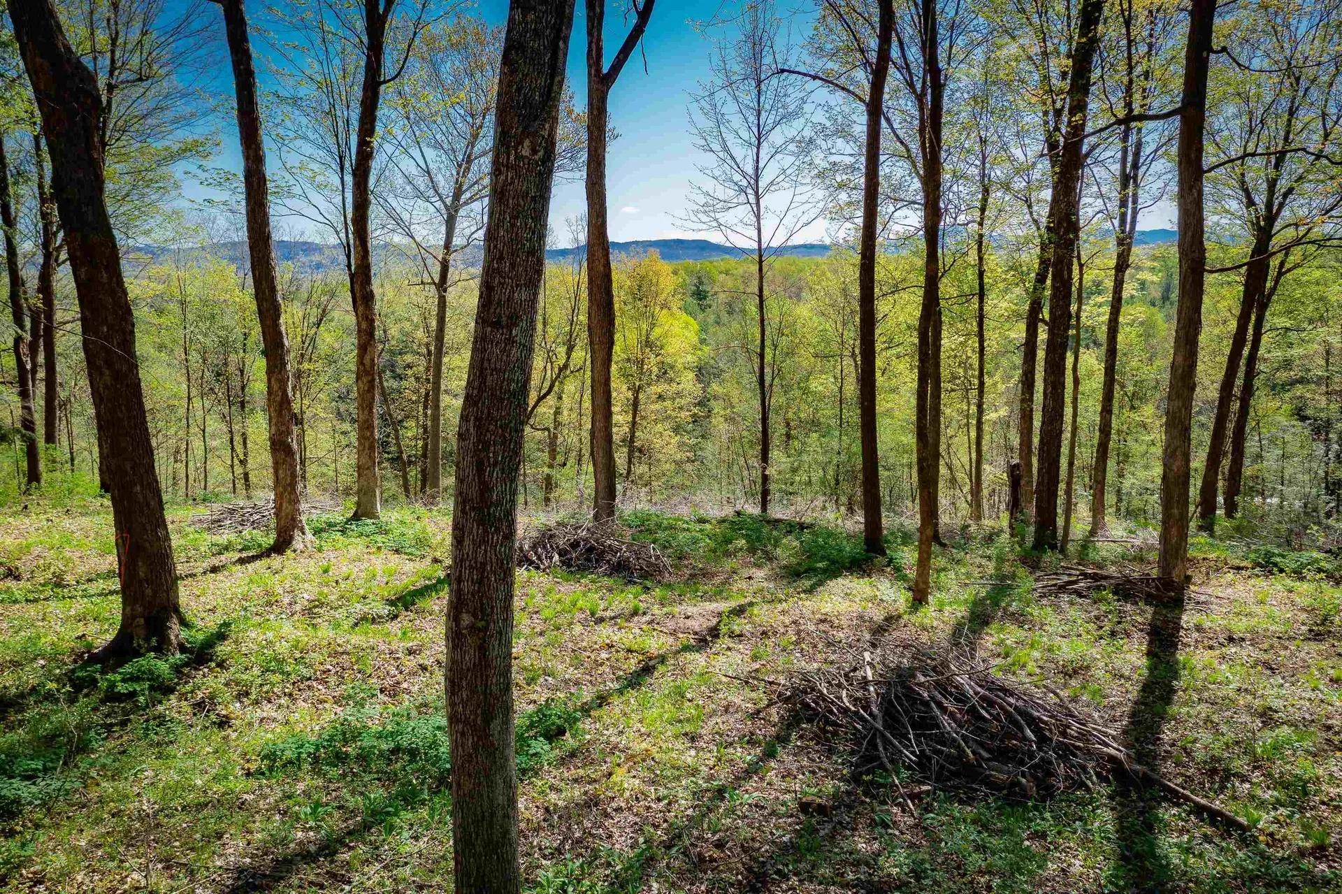 1555 Spear Street Charlotte VT 05445