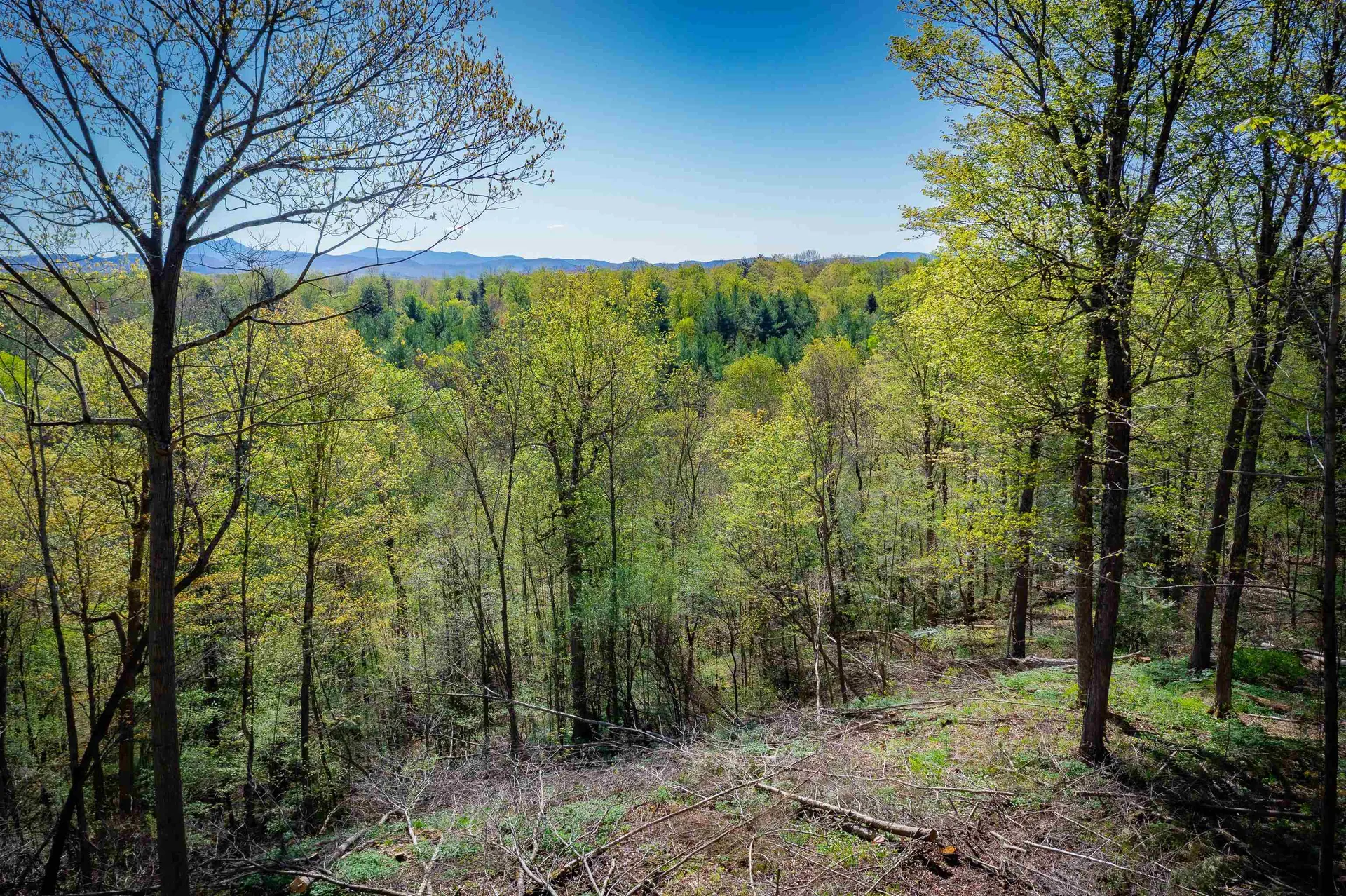 1555 Spear Street Charlotte VT 05445