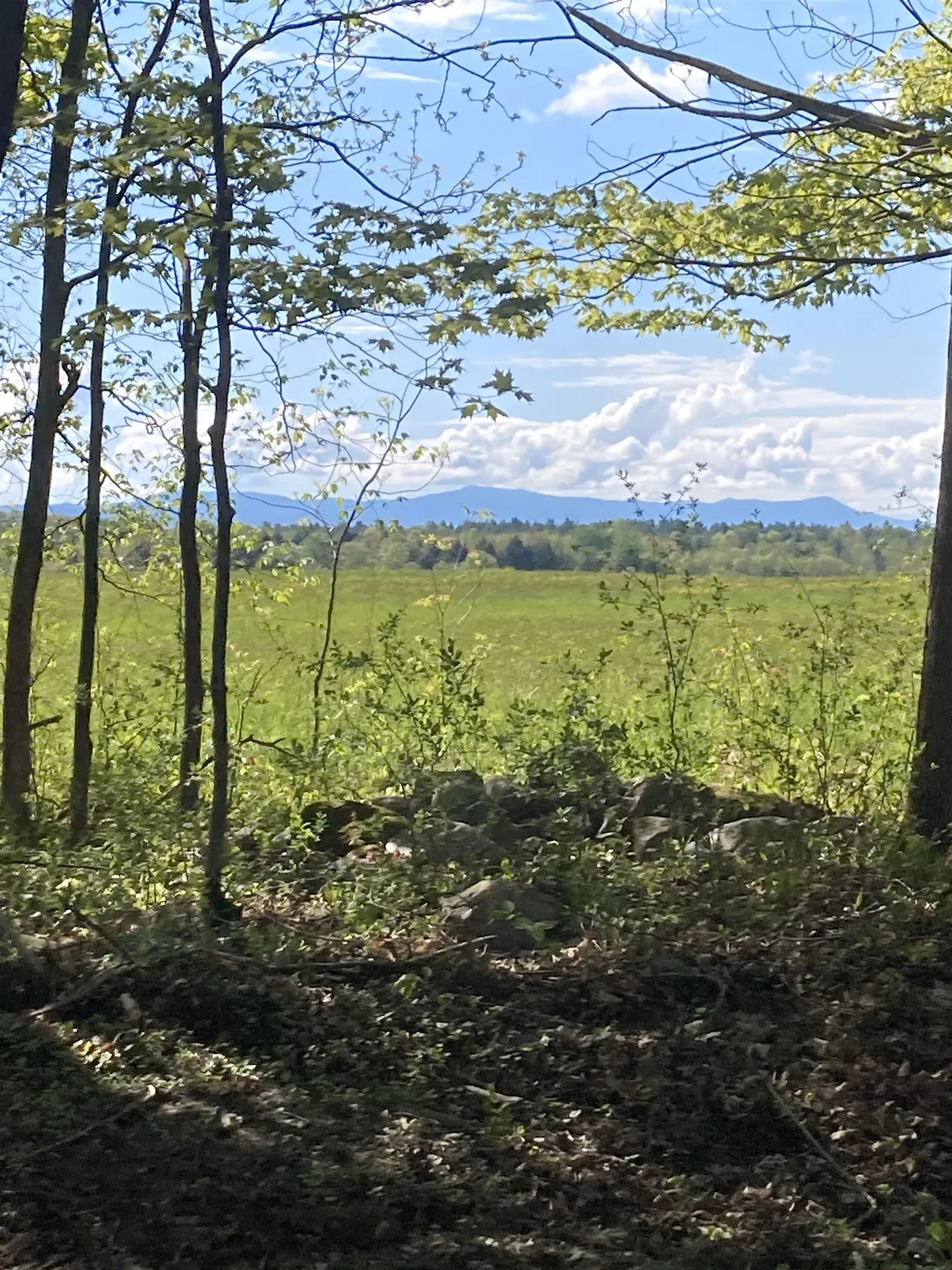 1555 Spear Street Charlotte VT 05445