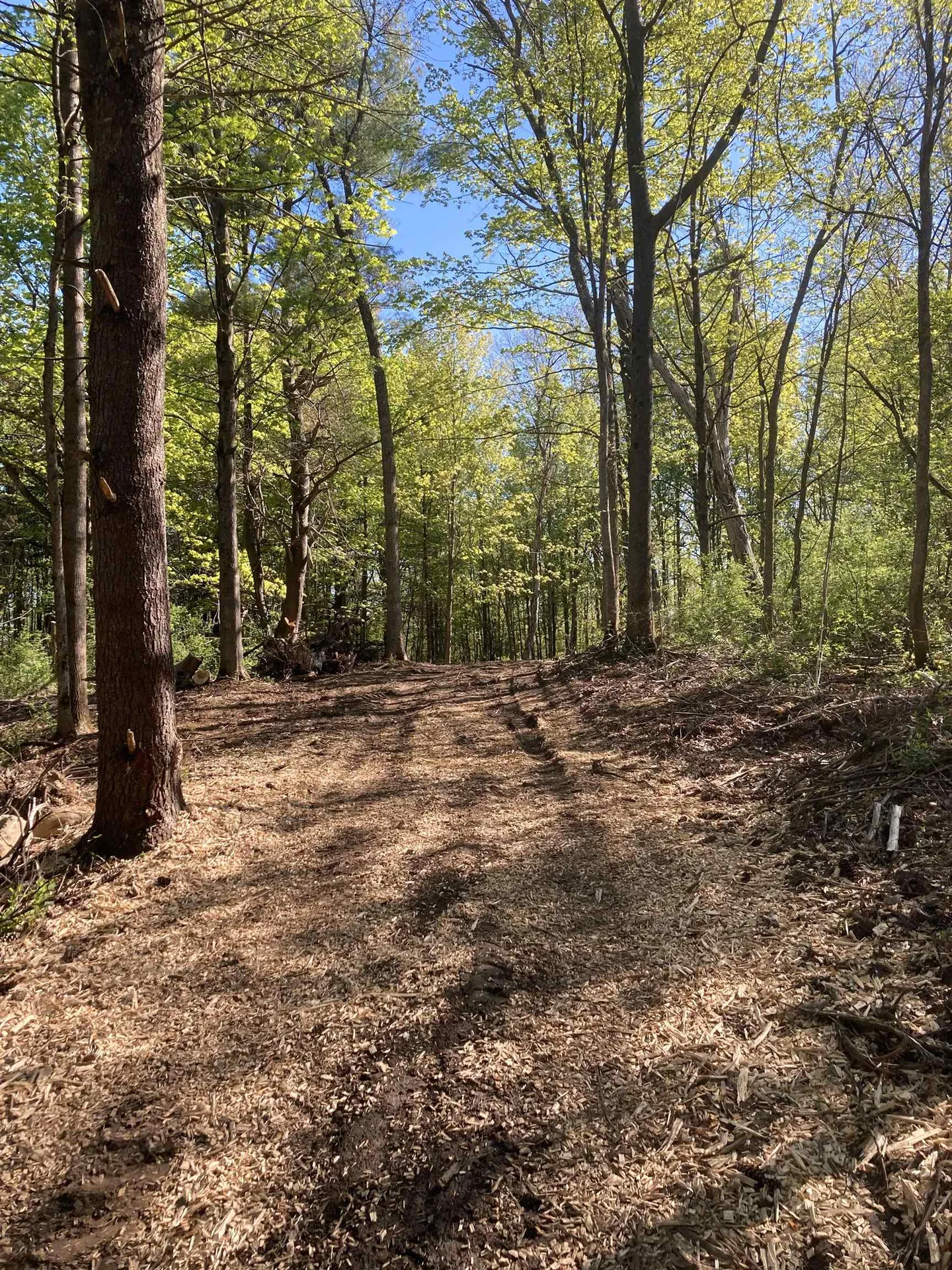 1555 Spear Street Charlotte VT 05445