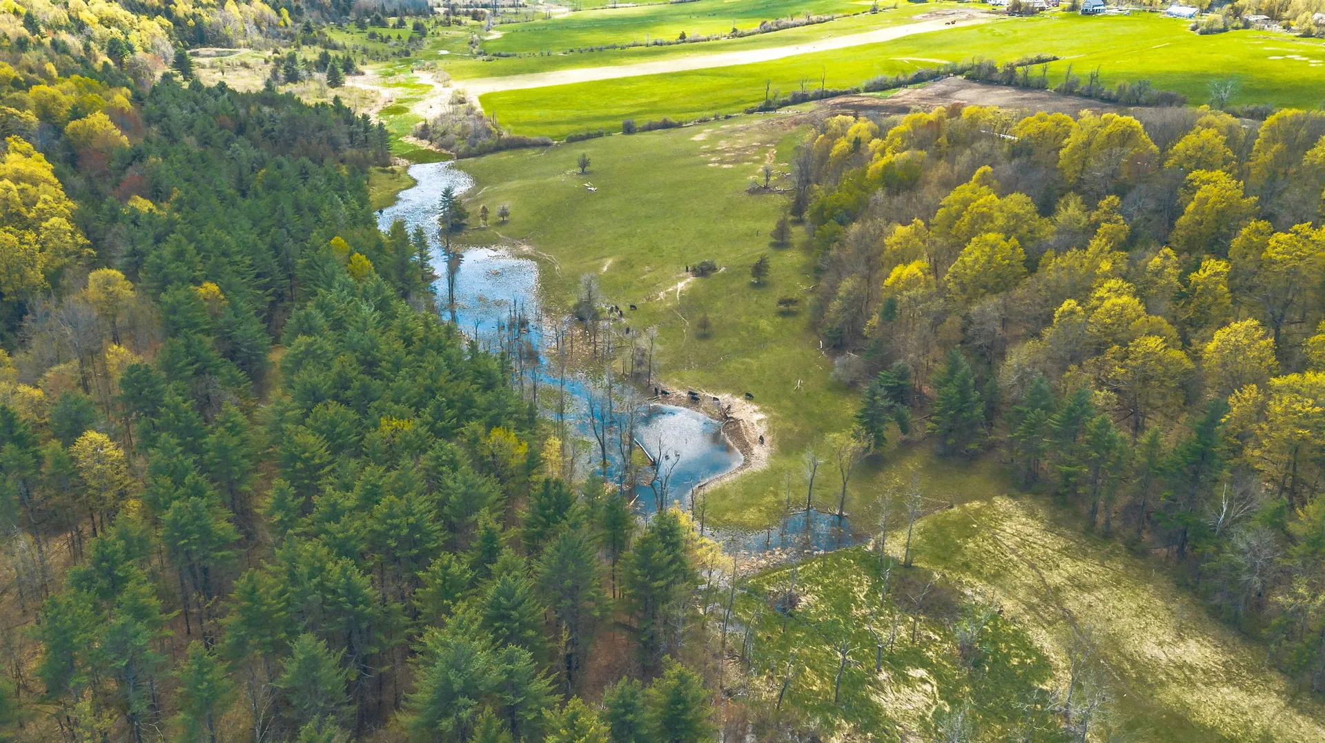 1555 Spear Street Charlotte VT 05445