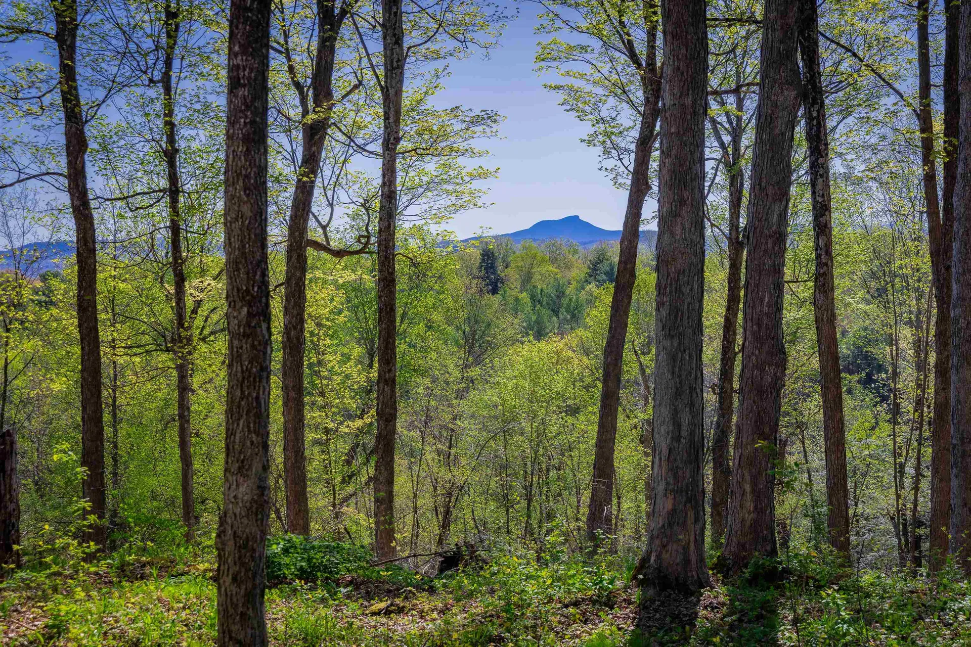 1555 Spear Street Charlotte VT 05445