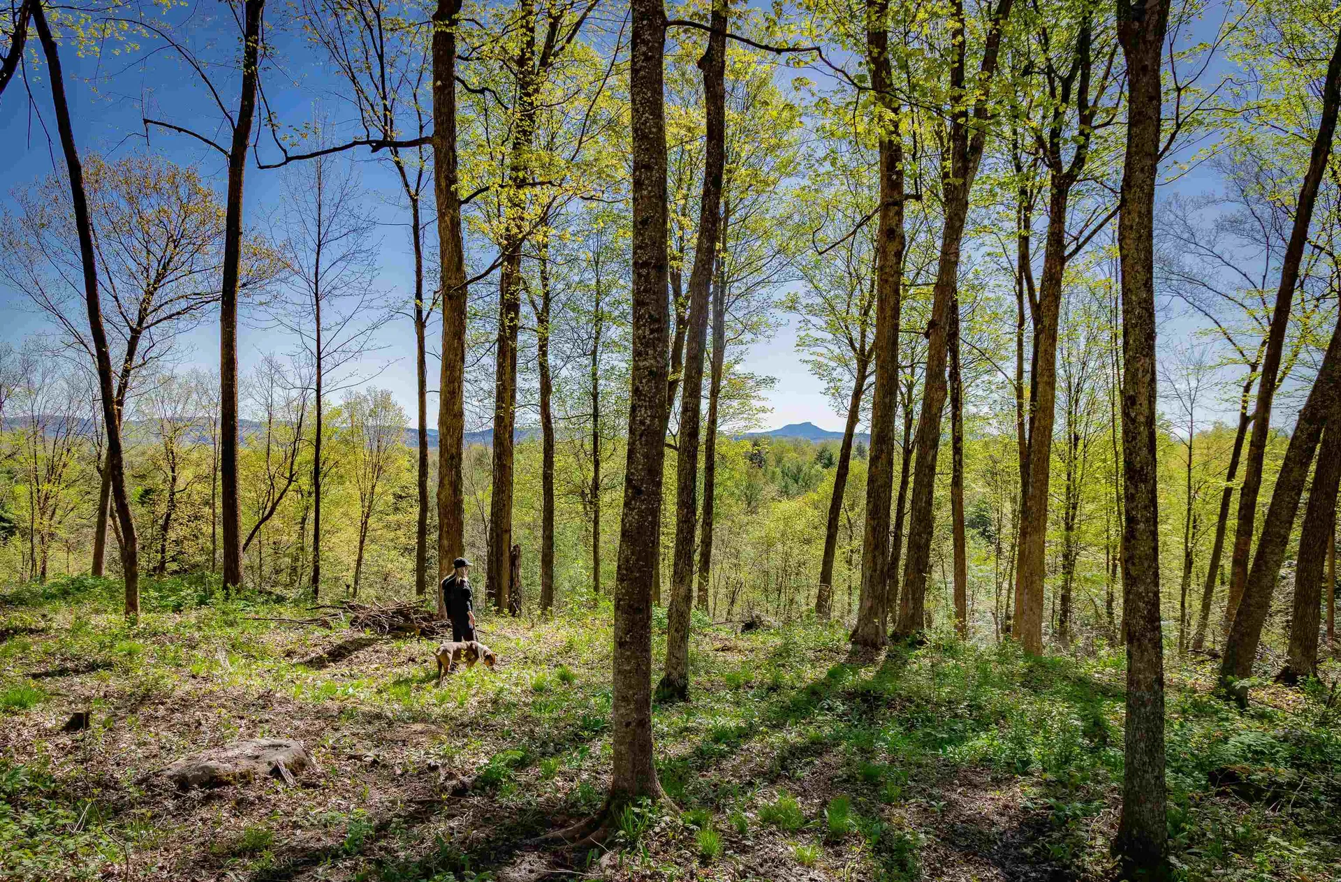 1555 Spear Street Charlotte VT 05445