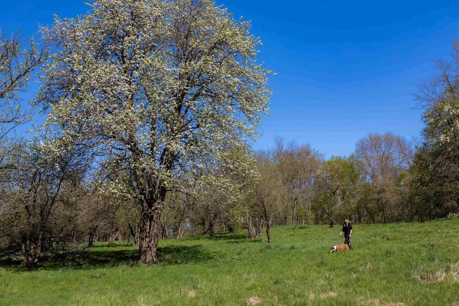 1555 Spear Street Charlotte VT 05445