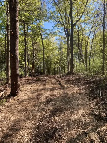 1555 Spear Street Charlotte VT 05445