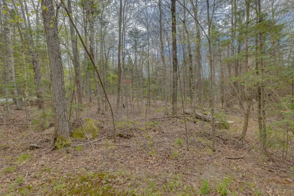 Map 8 Lot 22 Indian Pipe Road Franconia NH 03580