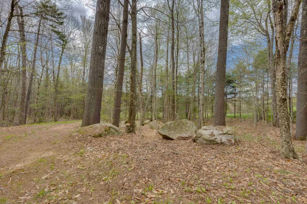 Map 8 Lot 22 Indian Pipe Road Franconia NH 03580
