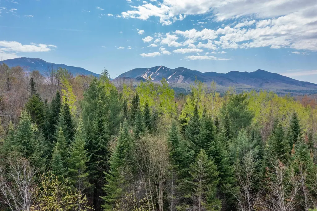 Map 8 Lot 22 Indian Pipe Road Franconia NH 03580